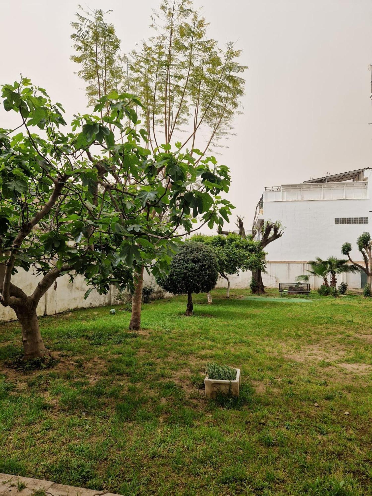 Apartamento Calzada 10 *